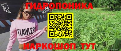 соль курить ск Аргун